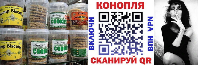 как найти   Майкоп  Canna-Cookies марихуана 