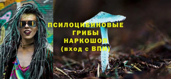 Альфа ПВП Алексеевка