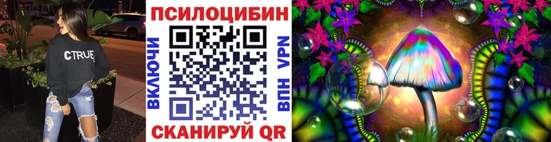 Галлюциногенные грибы Psilocybe Майкоп